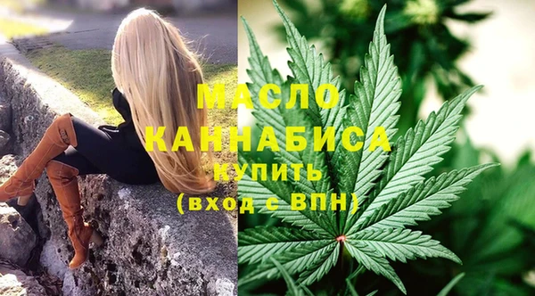 тгк Алзамай